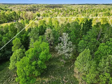7850 W Lick Creek Road Primm Springs TN 38476