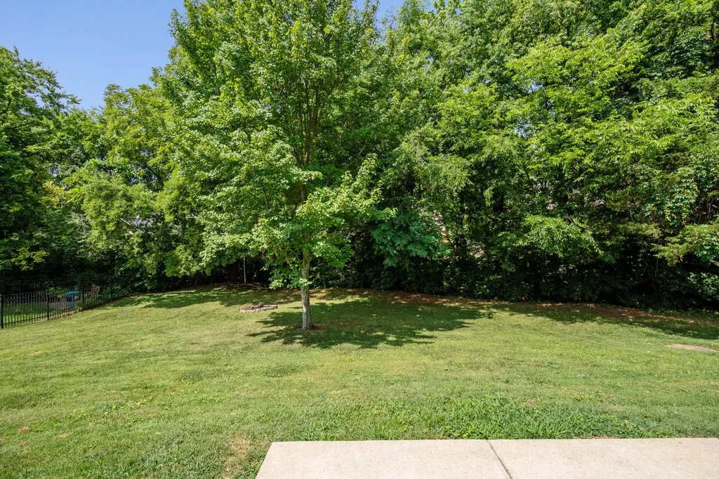 3316 Blackberry Lane Lebanon TN 37087