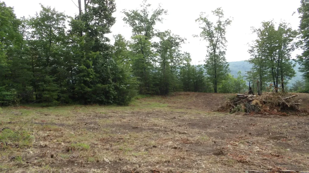 442 Valley View Circle Wilder TN 38589