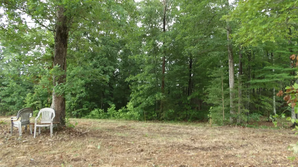 442 Valley View Circle Wilder TN 38589