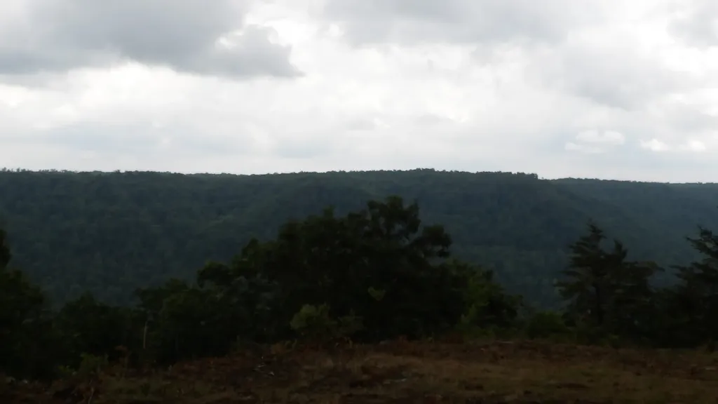 442 Valley View Circle Wilder TN 38589