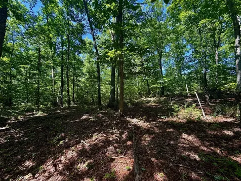 1 Teludachee Trail South Pittsburg TN 37380