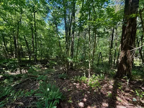 1 Teludachee Trail South Pittsburg TN 37380