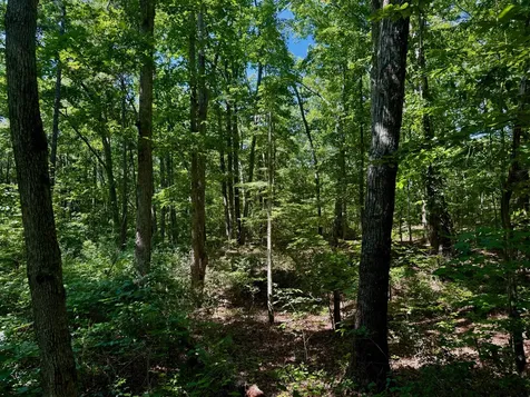 1 Teludachee Trail South Pittsburg TN 37380
