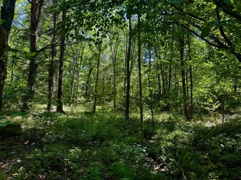 1 Teludachee Trail South Pittsburg TN 37380