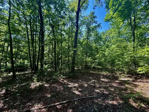 1 Teludachee Trail South Pittsburg TN 37380