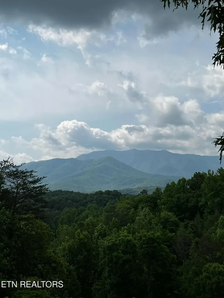 3 Powdermill Drive Gatlinburg TN 37738