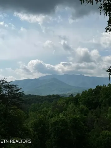 3 Powdermill Drive Gatlinburg TN 37738