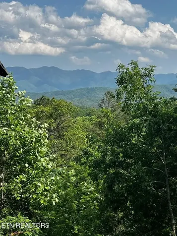 3 Powdermill Drive Gatlinburg TN 37738