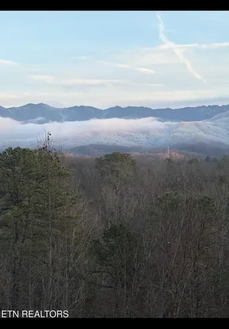 3 Powdermill Drive Gatlinburg TN 37738