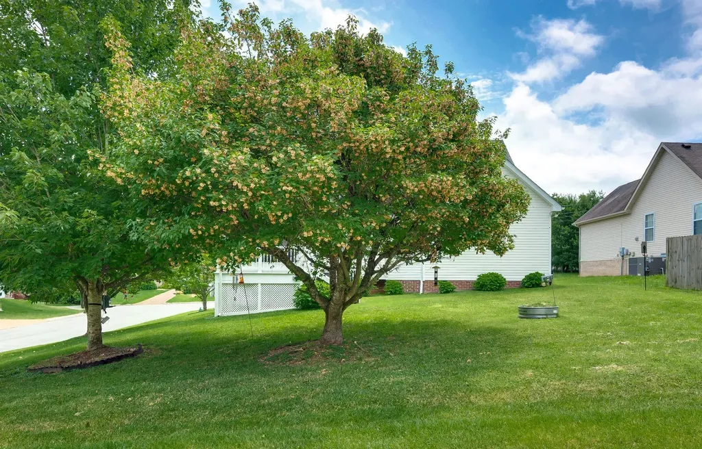 2020 Patrick Way Spring Hill TN 37174