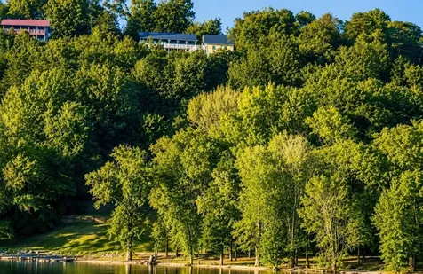 7 Arthur Court Waverly TN 37185