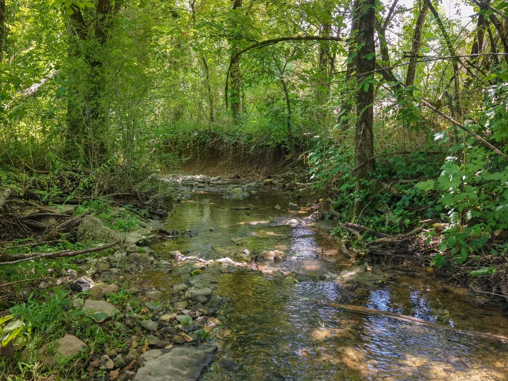 70 Giles Hollow Road Fayetteville TN 37334