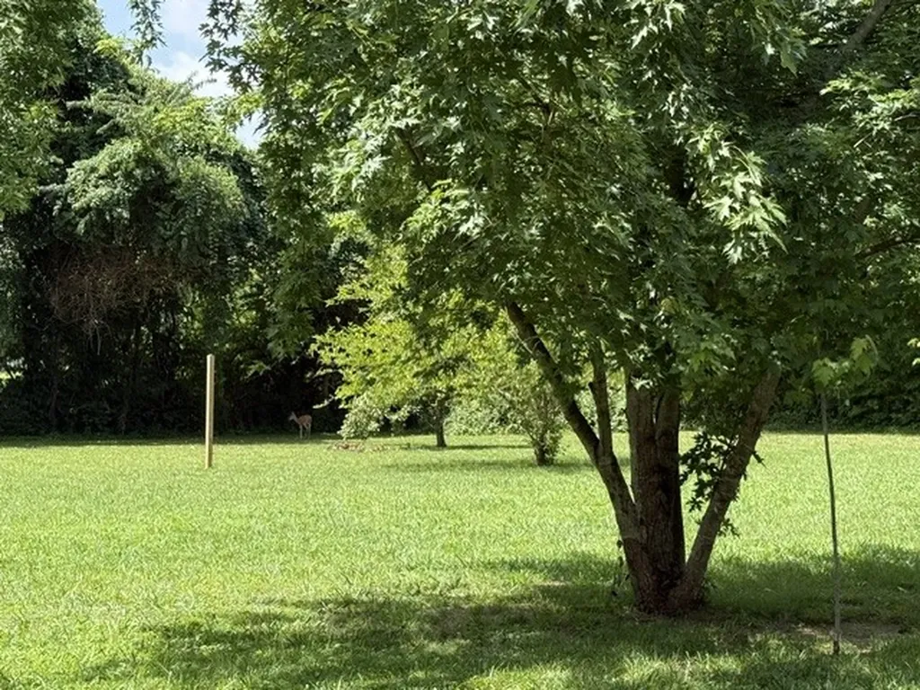 647 52 E Highway, E Portland TN 37148