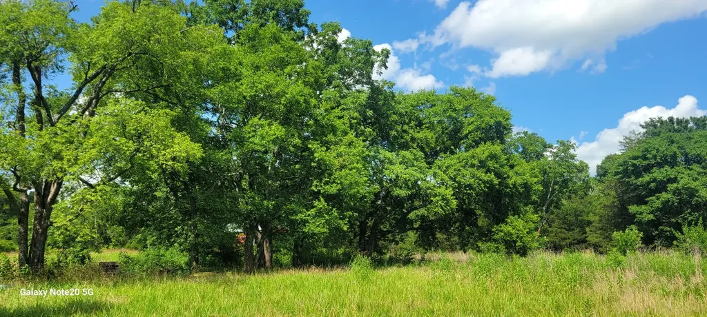 2 Clem Creek Road Chapel Hill TN 37034
