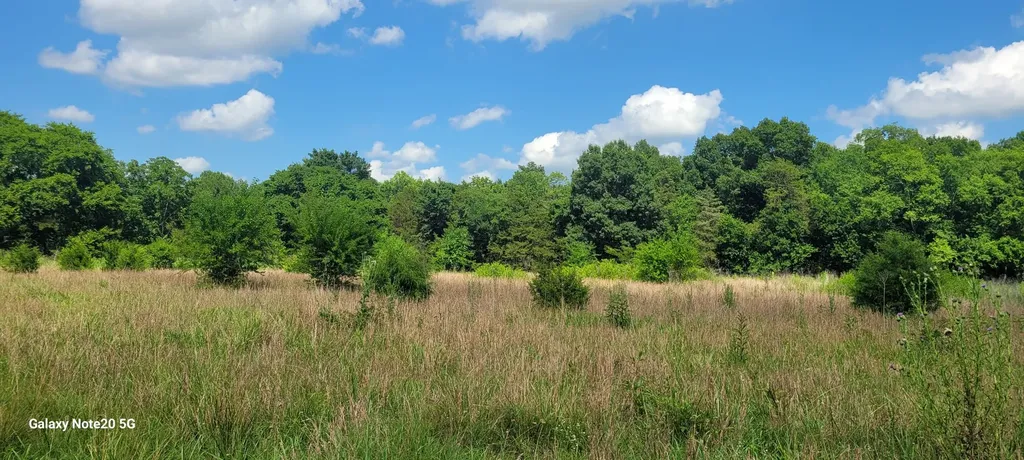 2 Clem Creek Road Chapel Hill TN 37034