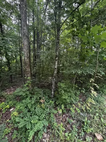63 Sunset Bluff Way Monteagle TN 37356