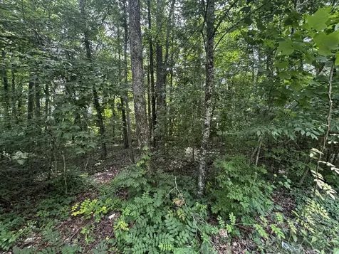 63 Sunset Bluff Way Monteagle TN 37356