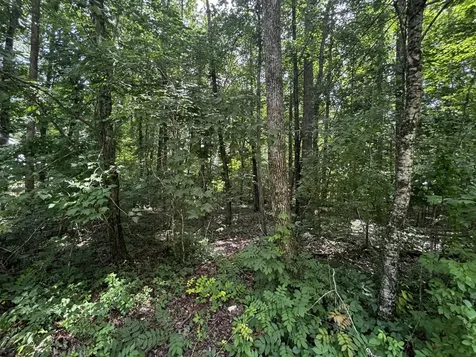 63 Sunset Bluff Way Monteagle TN 37356