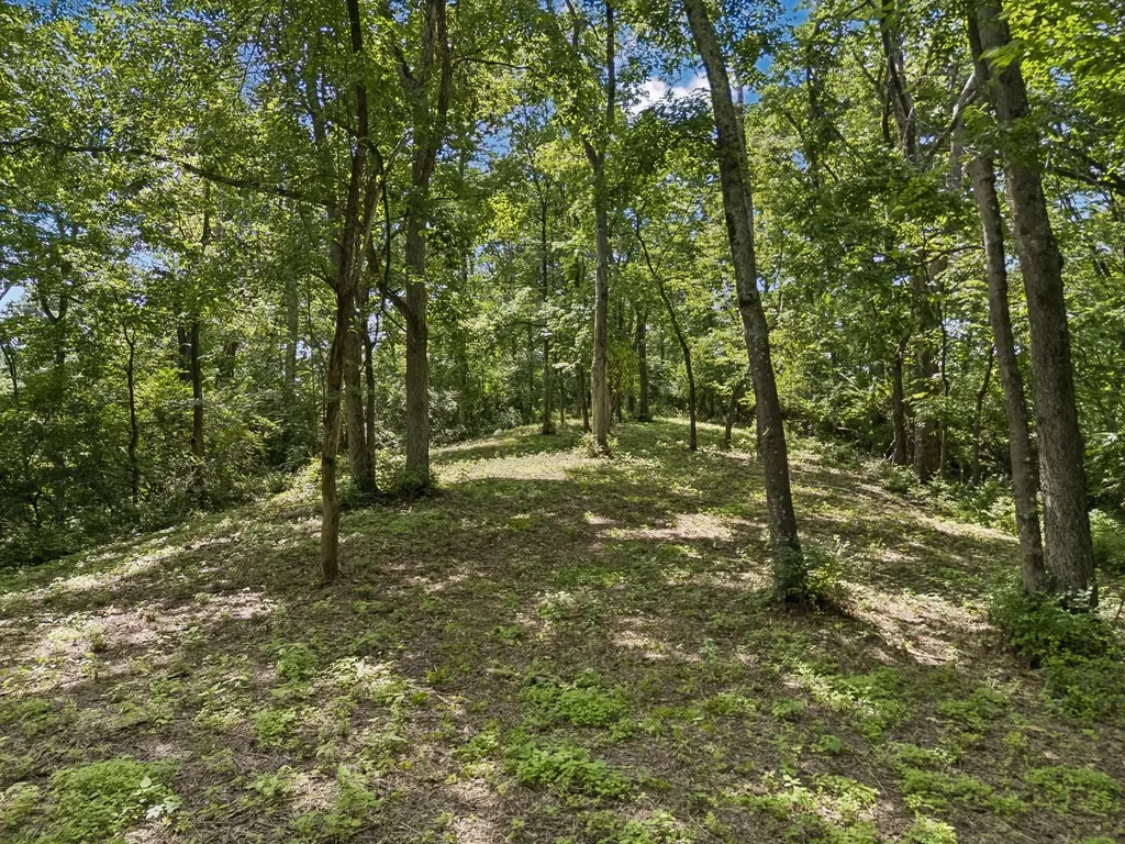 2268 N Berrys Chapel Road Franklin TN 37069