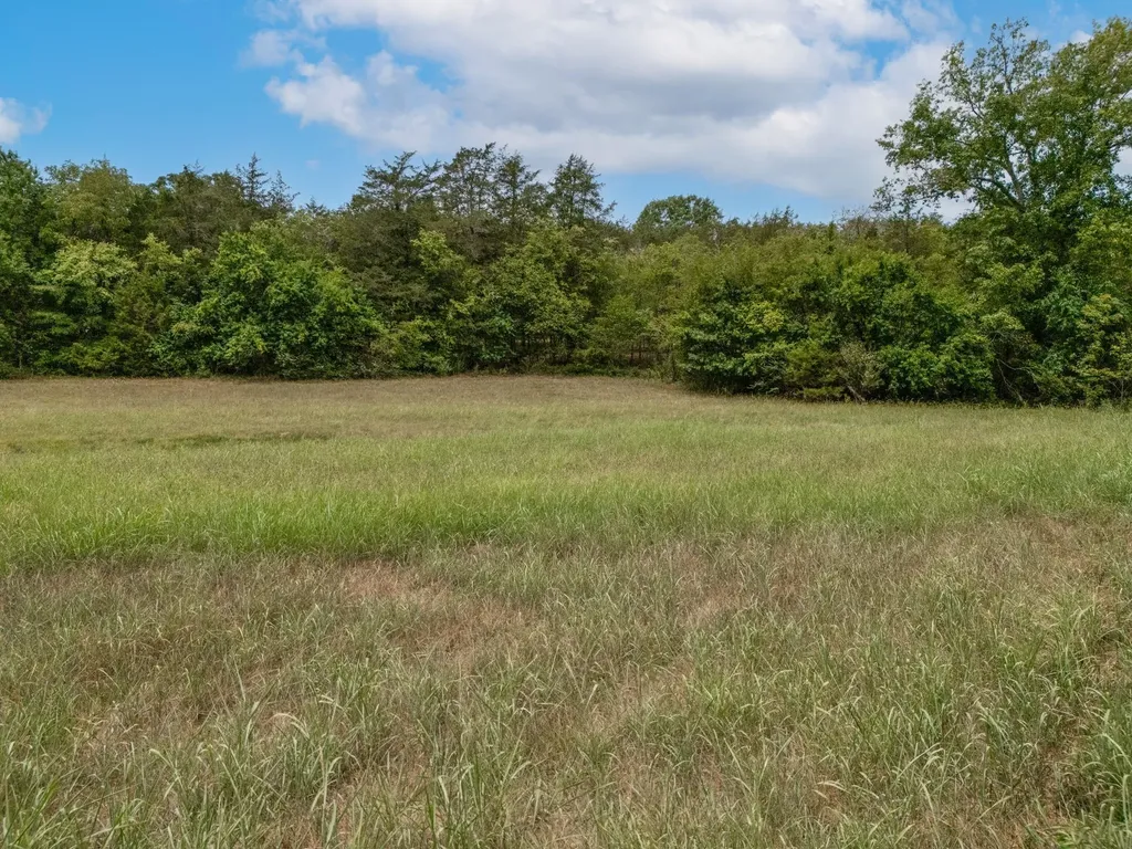 3460 Bradyville Road Readyville TN 37149