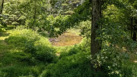 2548 Highway 43, N Leoma TN 38468