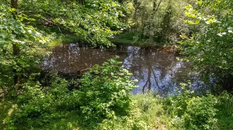 2548 Highway 43, N Leoma TN 38468