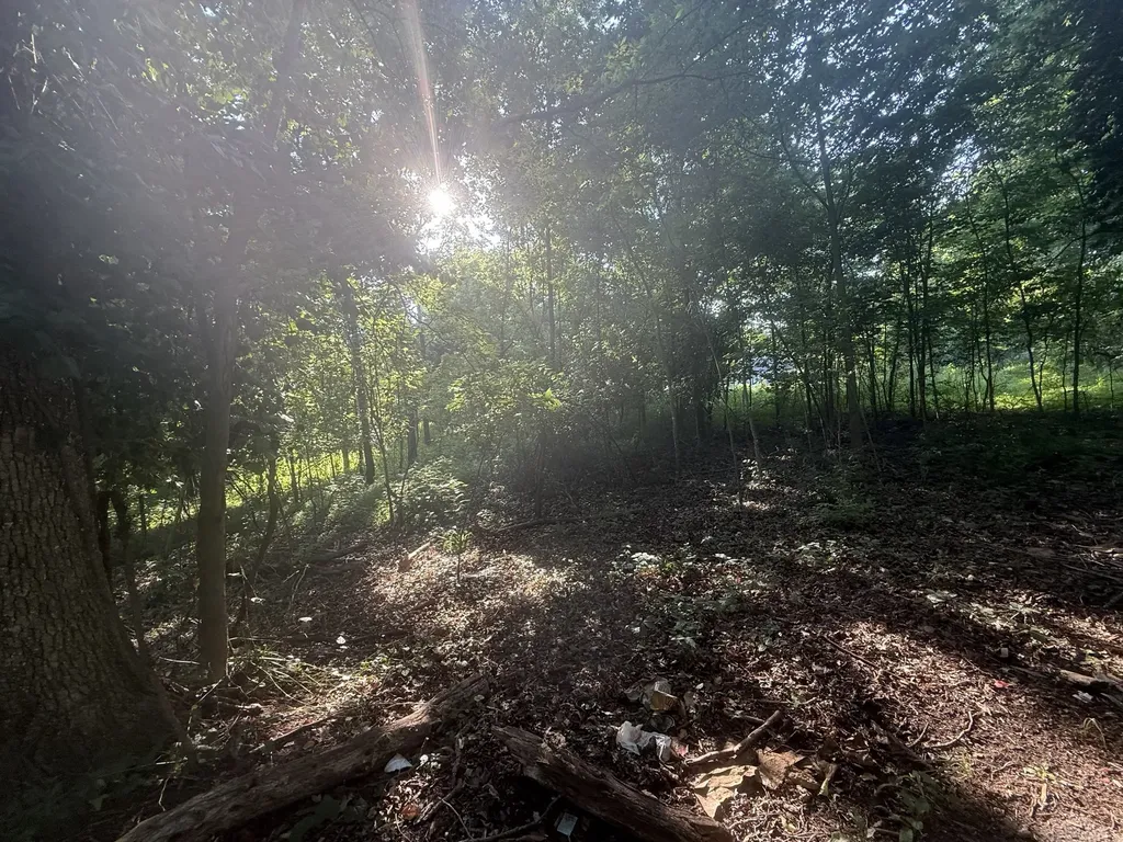 0 Gupton Lane Clarksville TN 37040