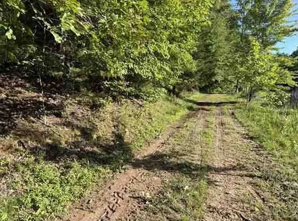 7117 Old Mill Creek Road Lyles TN 37098