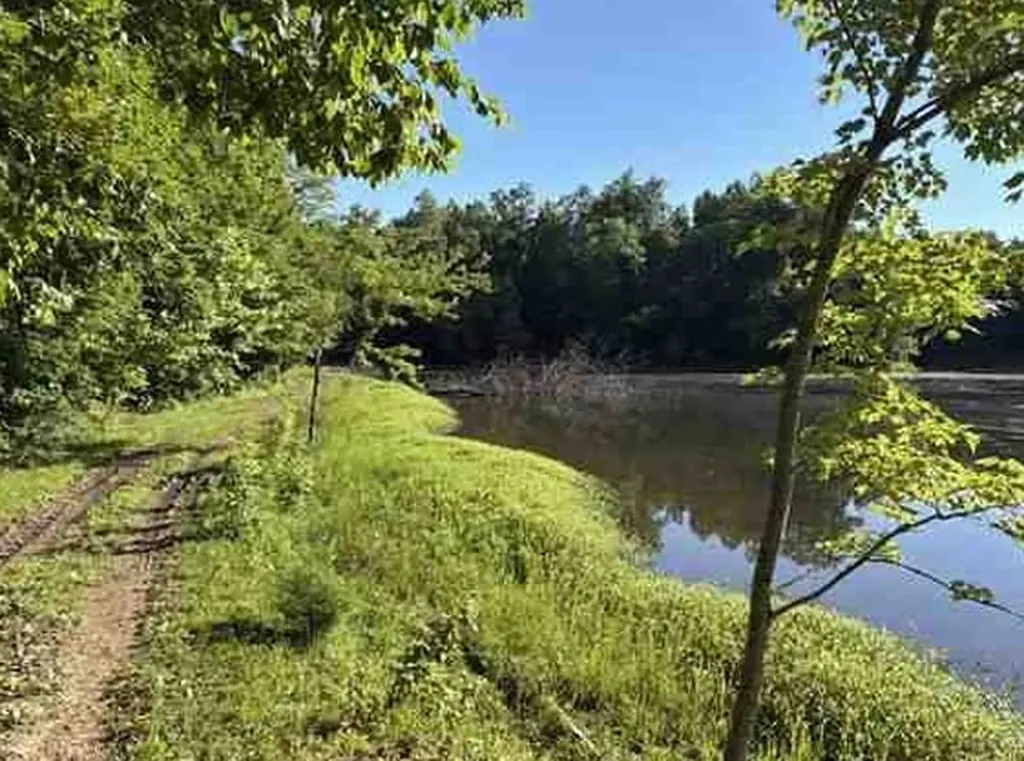 7117 Old Mill Creek Road Lyles TN 37098