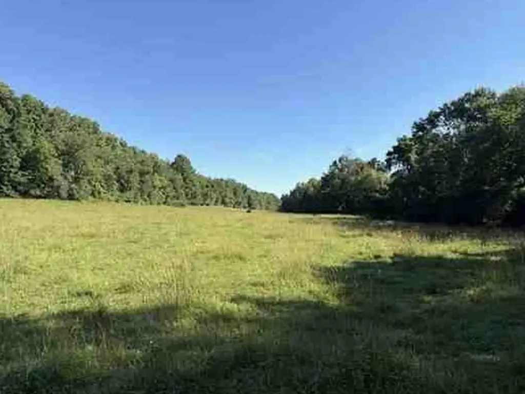 7117 Old Mill Creek Road Lyles TN 37098