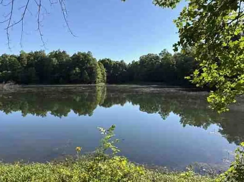 7117 Old Mill Creek Road Lyles TN 37098