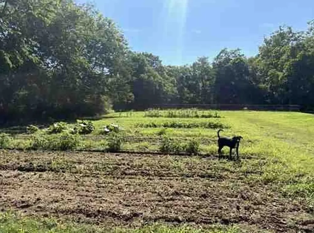 7117 Old Mill Creek Road Lyles TN 37098