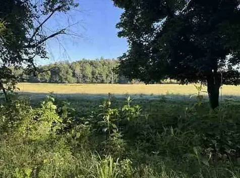 7117 Old Mill Creek Road Lyles TN 37098