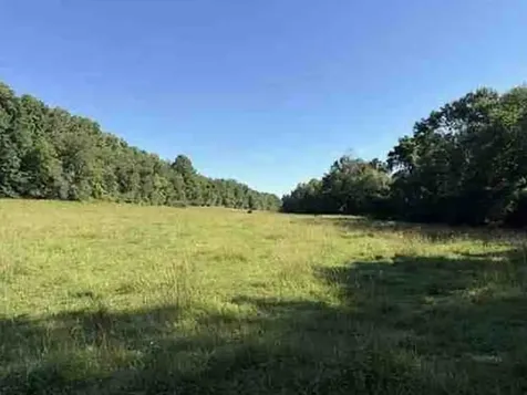 7117 Old Mill Creek Road Lyles TN 37098
