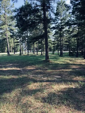 0 Raulston Falls Road Jasper TN 37347