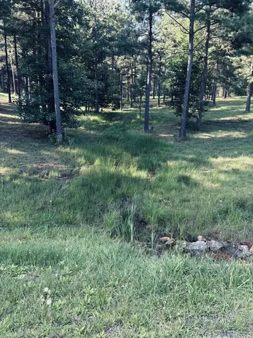 0 Raulston Falls Road Jasper TN 37347