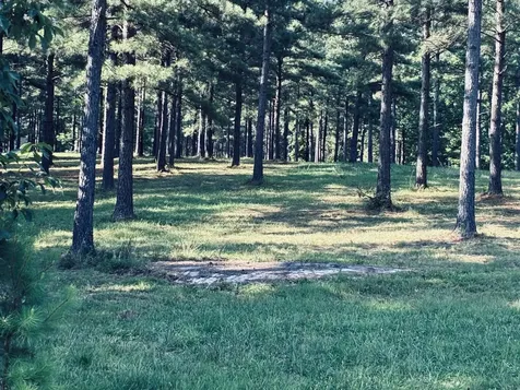 0 Raulston Falls Road Jasper TN 37347
