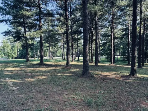 0 Raulston Falls Road Jasper TN 37347