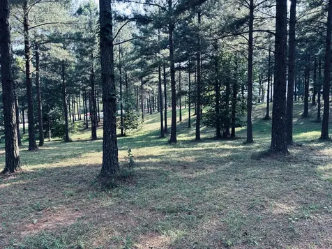 0 Raulston Falls Road Jasper TN 37347