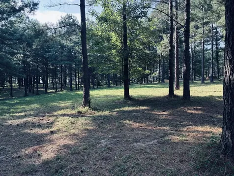 0 Raulston Falls Road Jasper TN 37347