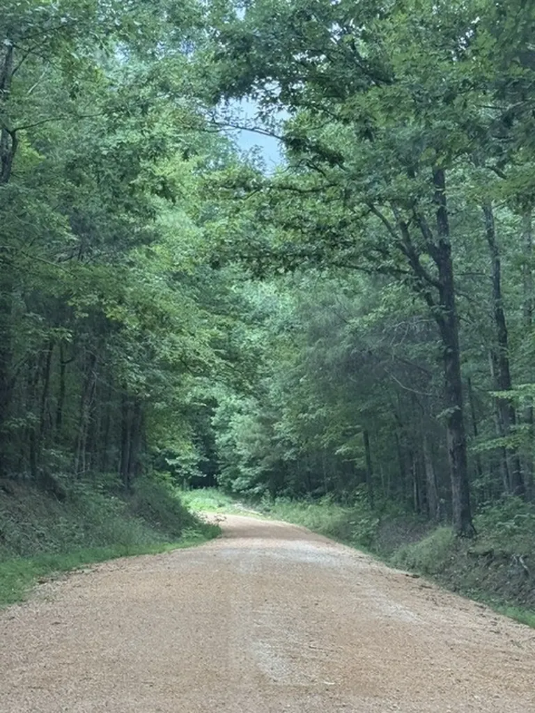 0 Old State Highway 69 Sugar Tree TN 38380