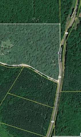 0 Old State Highway 69 Sugar Tree TN 38380