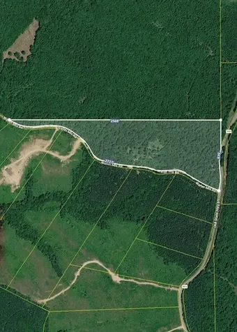 0 Old State Highway 69 Sugar Tree TN 38380