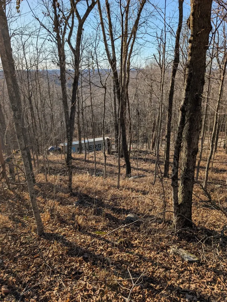 260 Tranquility Lane Liberty TN 37095