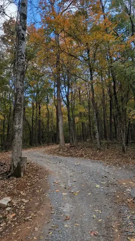 260 Tranquility Lane Liberty TN 37095