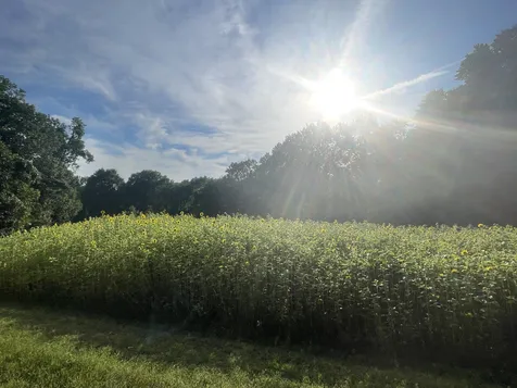 4118 Leipers Creek Road Williamsport TN 38487