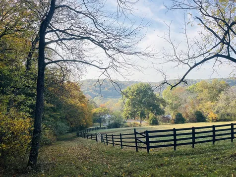 4118 Leipers Creek Road Williamsport TN 38487