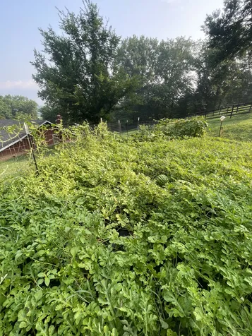 4118 Leipers Creek Road Williamsport TN 38487