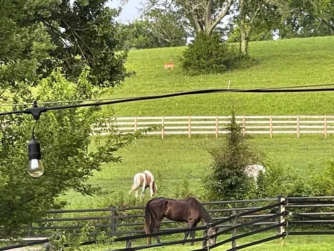 4118 Leipers Creek Road Williamsport TN 38487